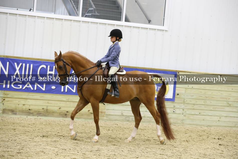 Proof 22R13_12960