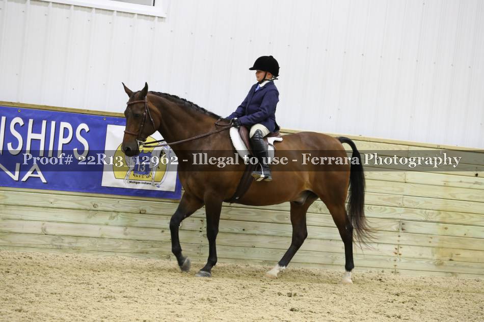 Proof 22R13_12962