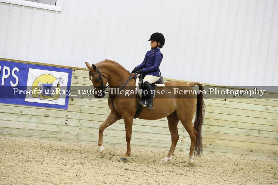 Proof 22R13_12963