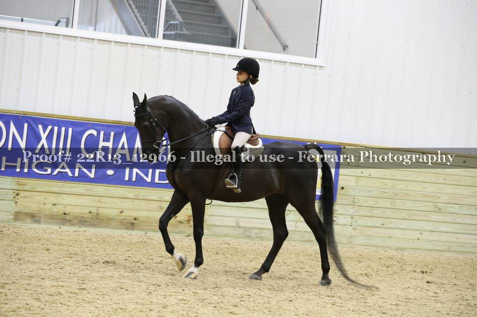 Proof 22R13_12966