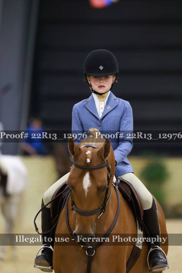 Proof 22R13_12976