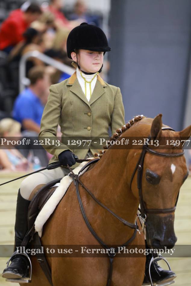 Proof 22R13_12977