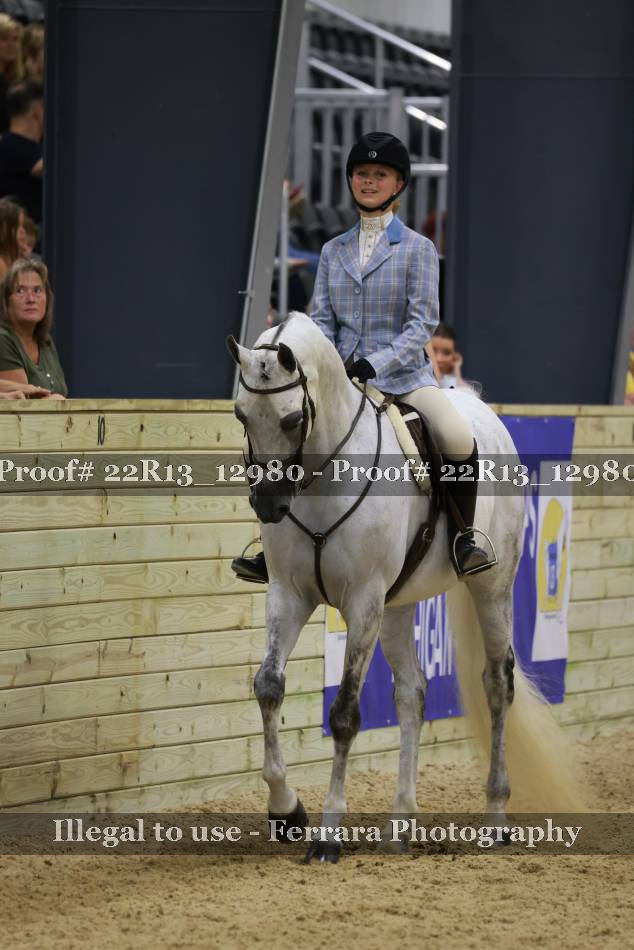 Proof 22R13_12980