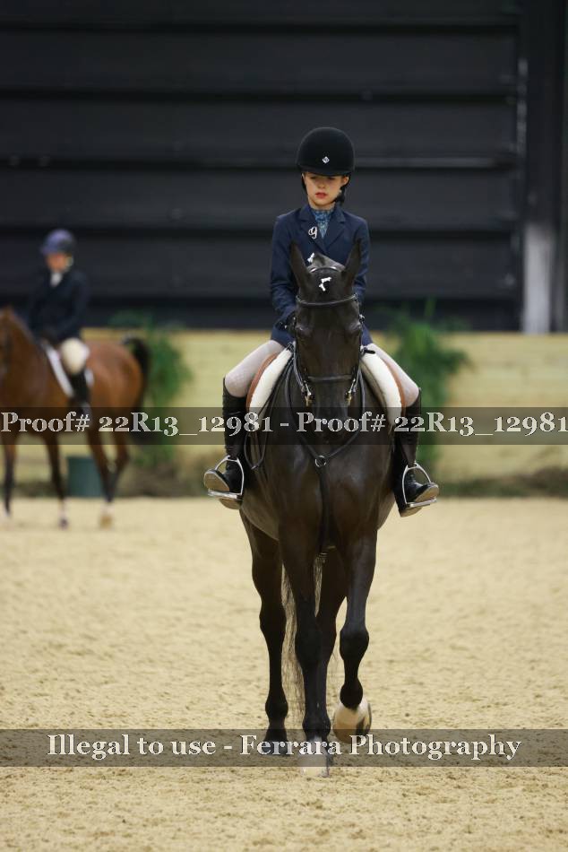 Proof 22R13_12981