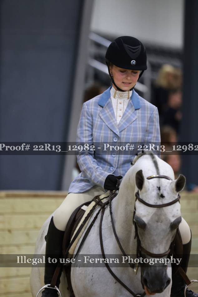 Proof 22R13_12982
