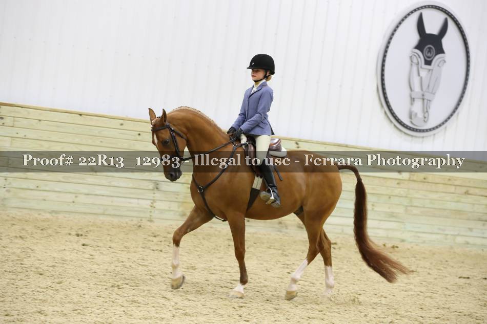 Proof 22R13_12983
