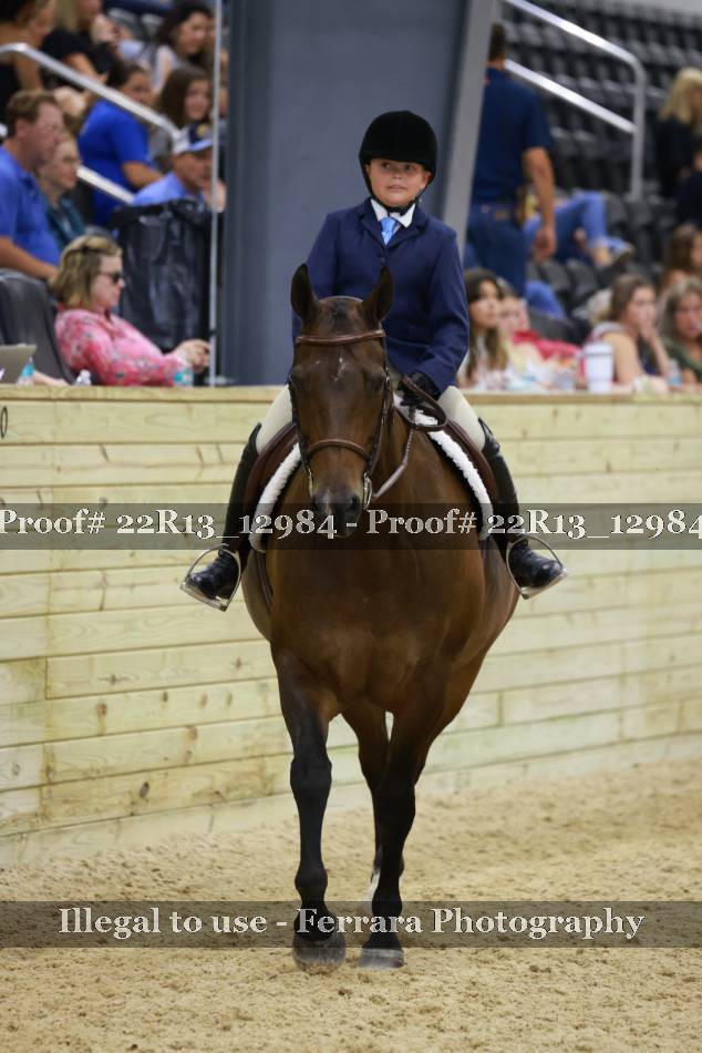 Proof 22R13_12984