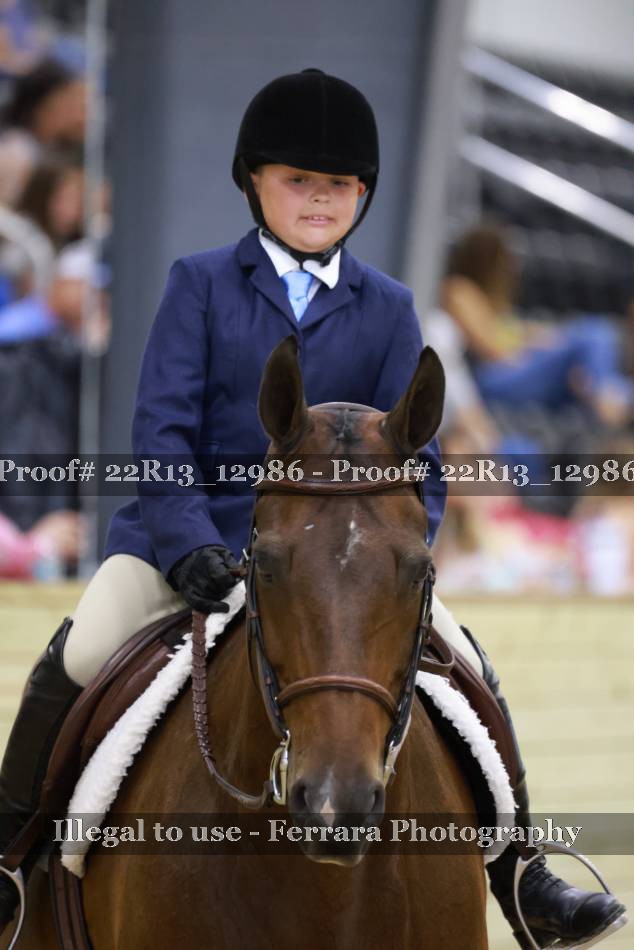 Proof 22R13_12986