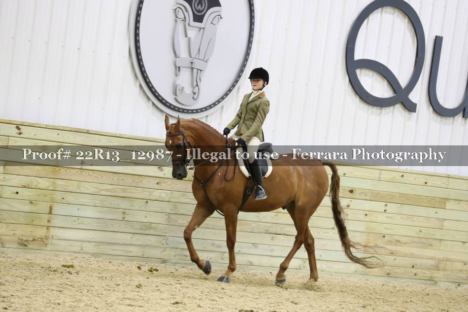 Proof 22R13_12987