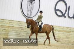 22R13_12987 proof
