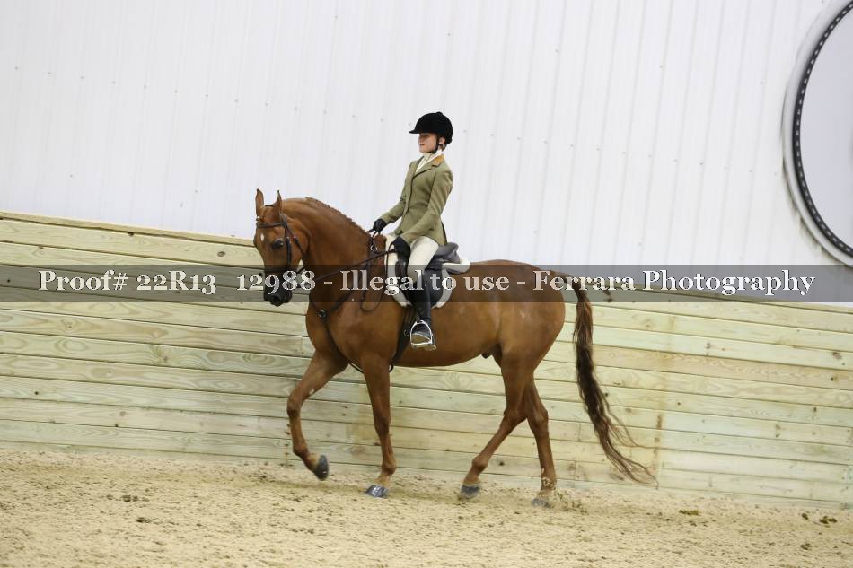 Proof 22R13_12988