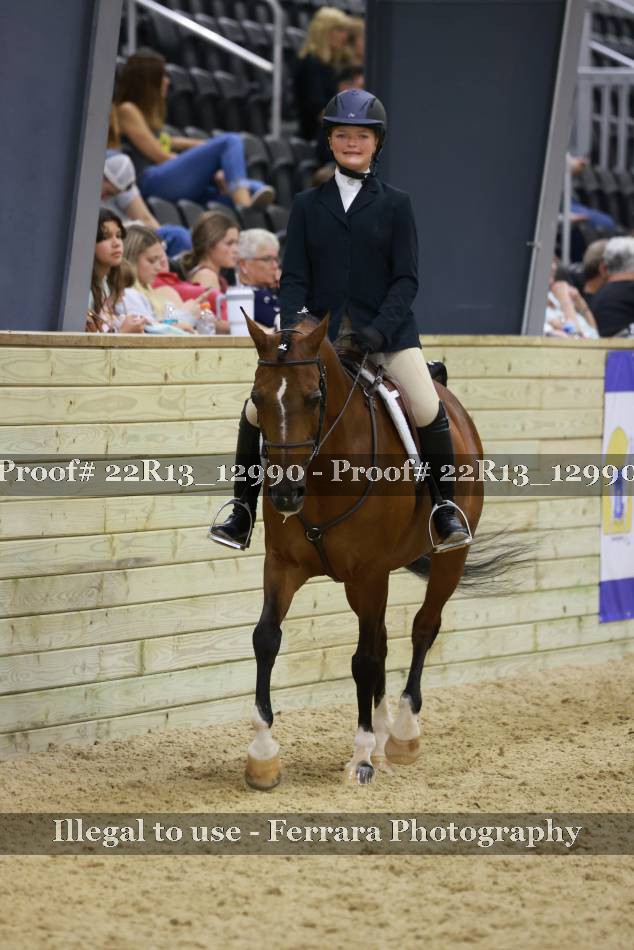 Proof 22R13_12990