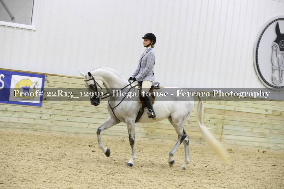 Proof 22R13_12991