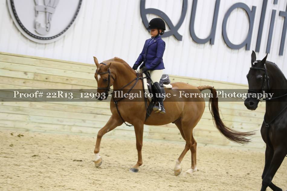 Proof 22R13_12993