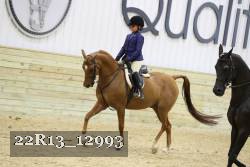 22R13_12993 proof