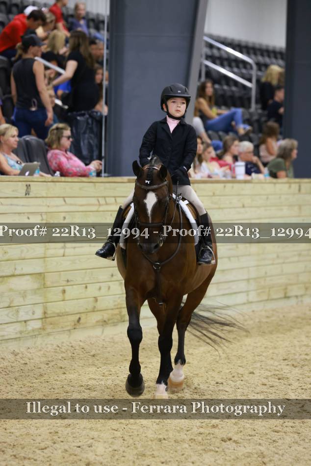 Proof 22R13_12994