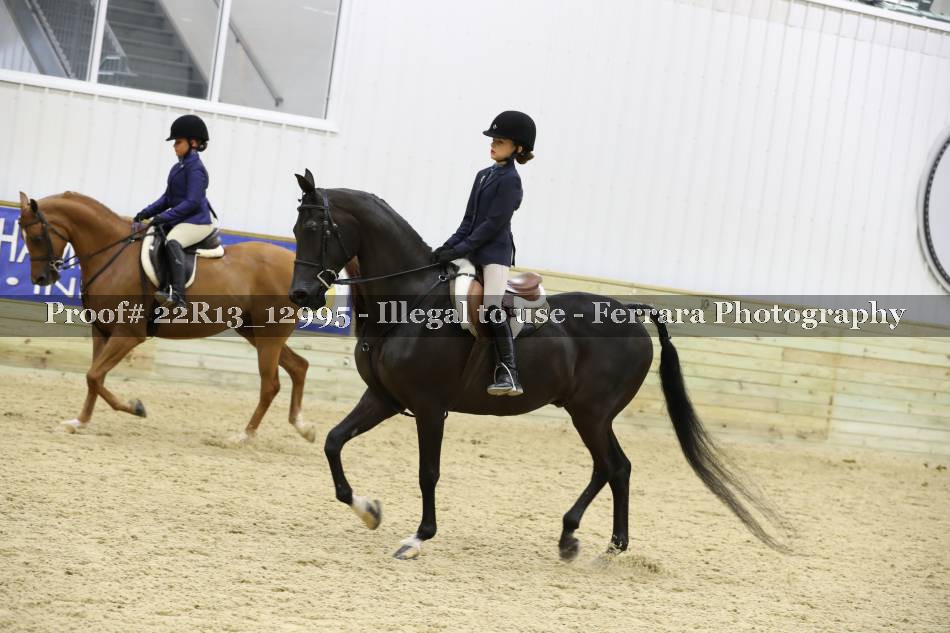 Proof 22R13_12995
