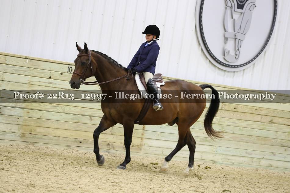 Proof 22R13_12997
