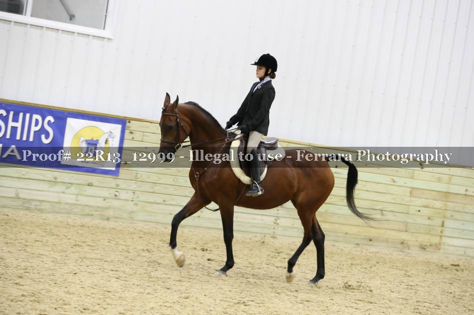 Proof 22R13_12999
