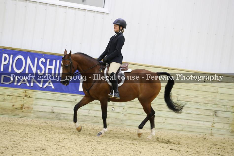 Proof 22R13_13003