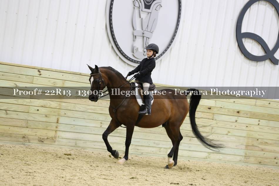 Proof 22R13_13005