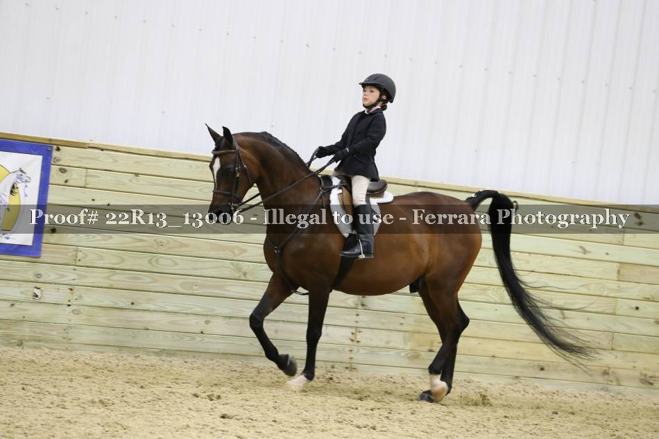 Proof 22R13_13006