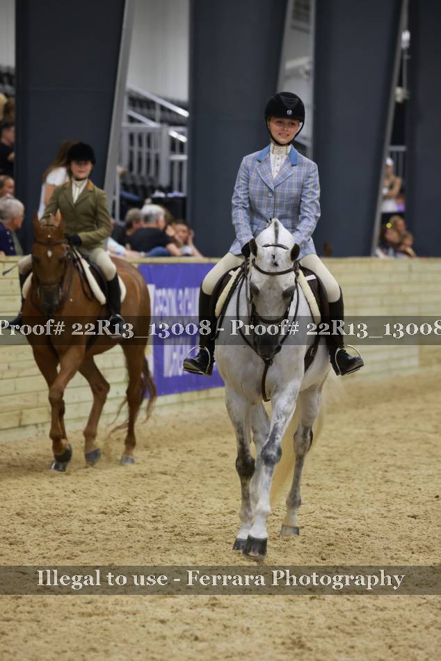 Proof 22R13_13008