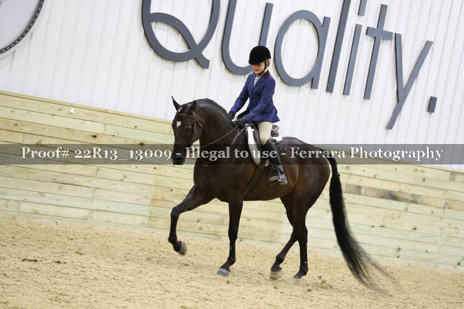 Proof 22R13_13009