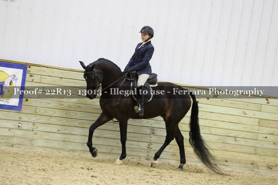 Proof 22R13_13013
