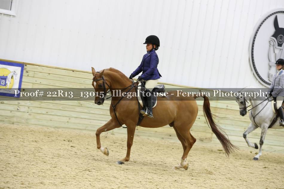 Proof 22R13_13015