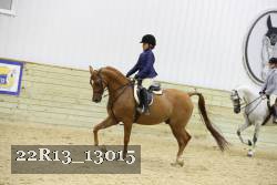 22R13_13015 proof