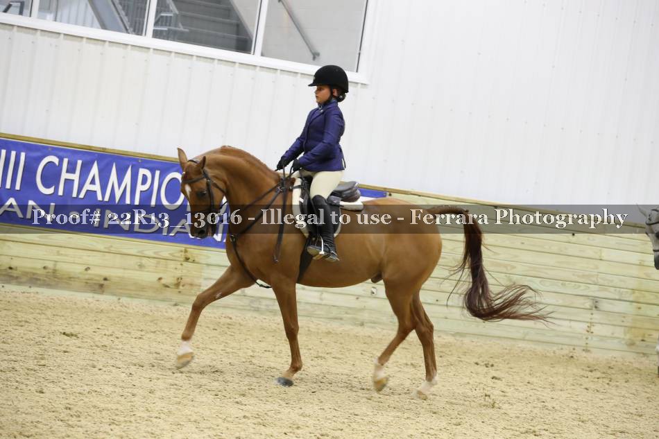 Proof 22R13_13016