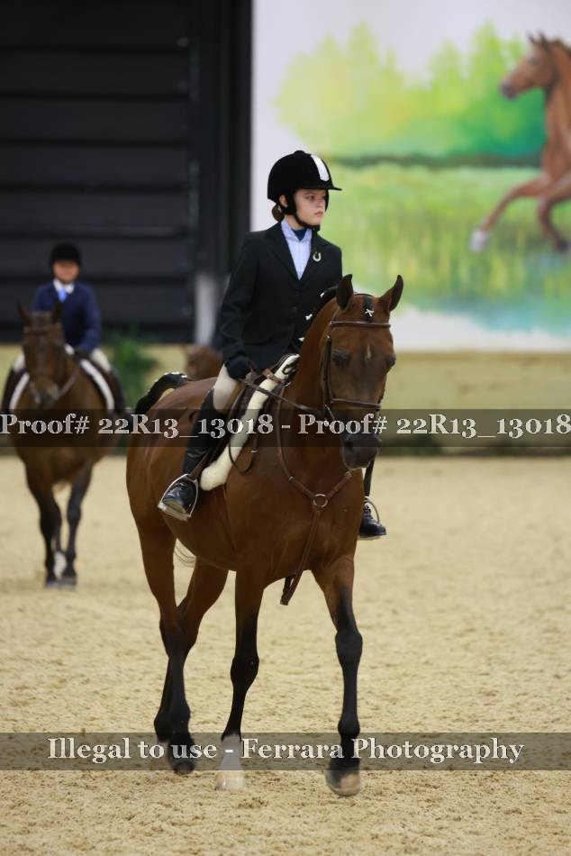 Proof 22R13_13018