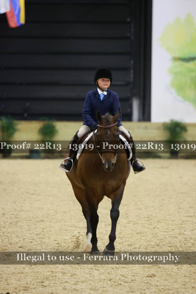 Proof 22R13_13019