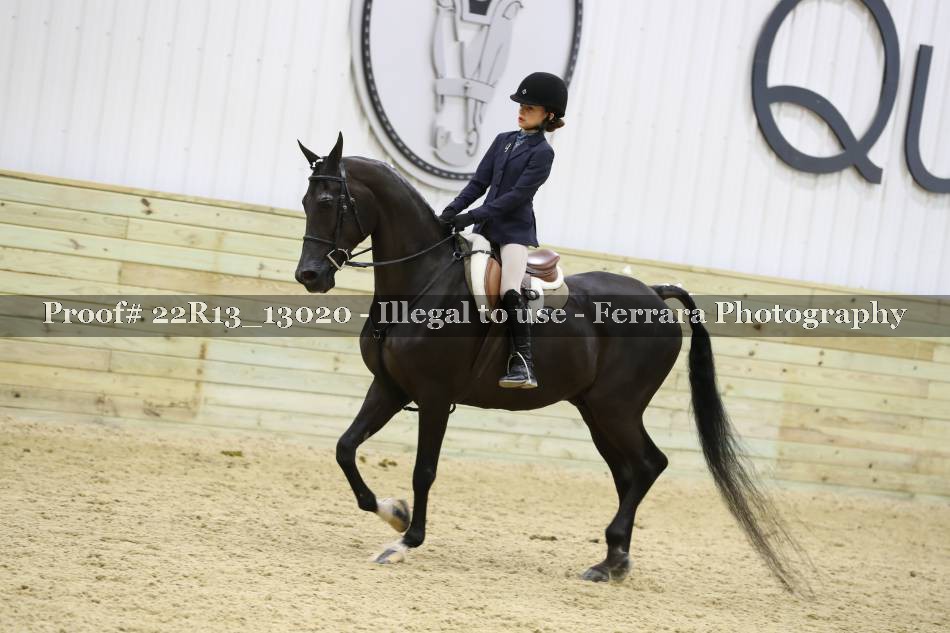 Proof 22R13_13020