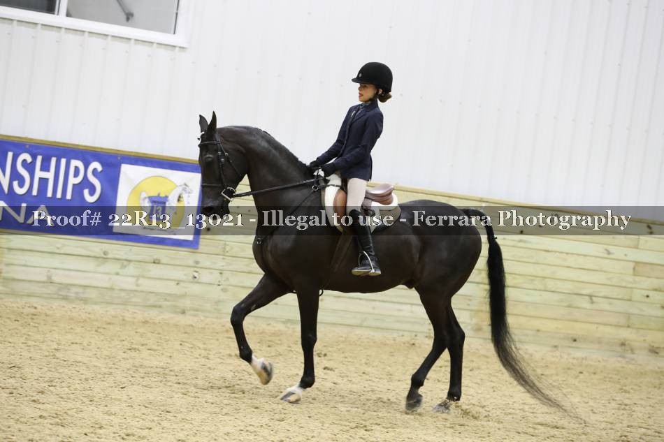 Proof 22R13_13021