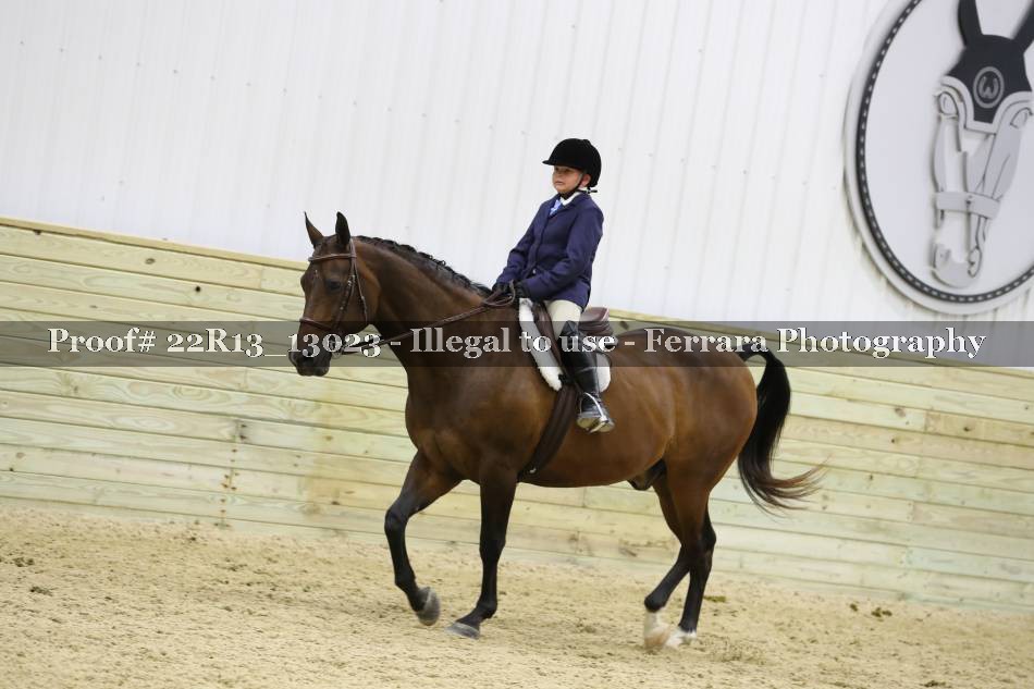Proof 22R13_13023