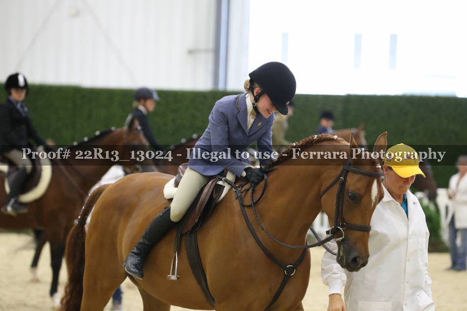 Proof 22R13_13024