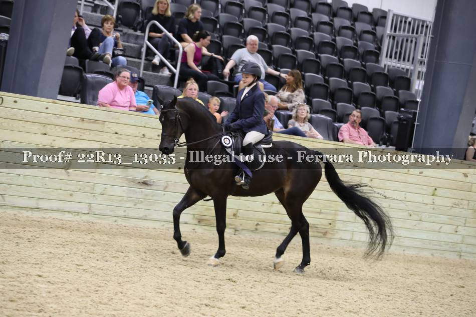 Proof 22R13_13035