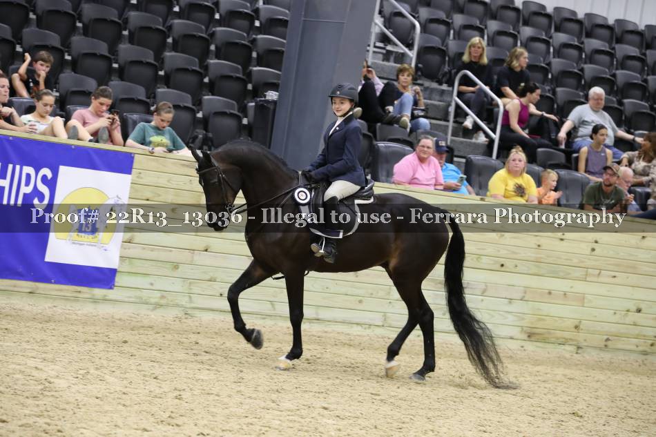 Proof 22R13_13036