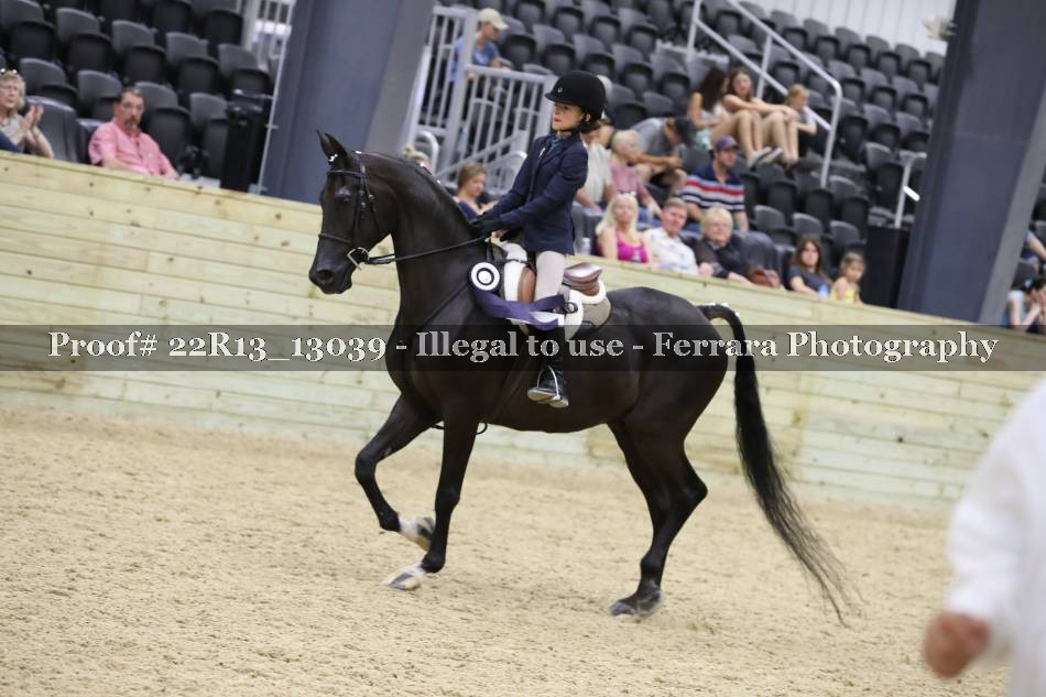 Proof 22R13_13039