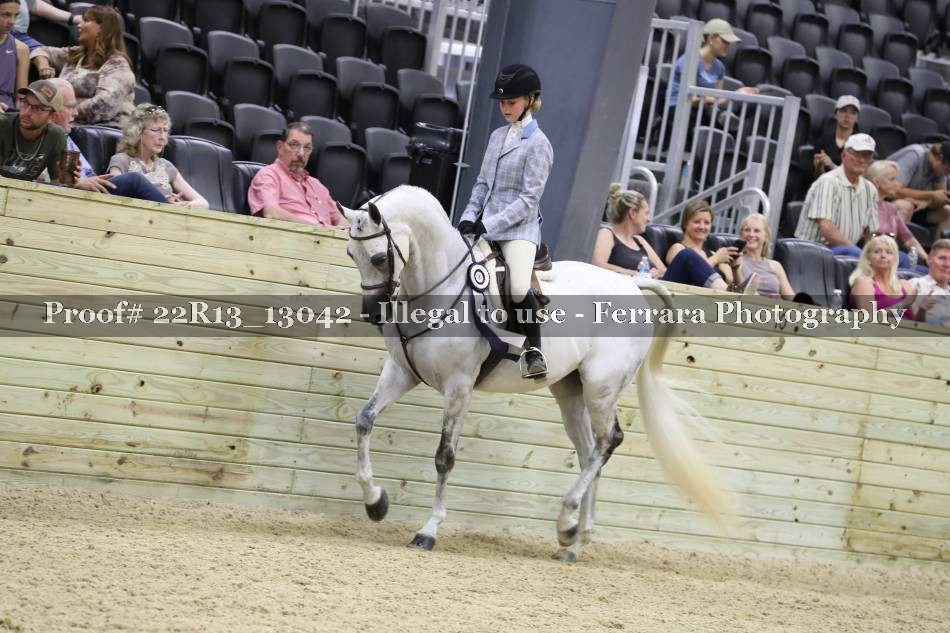 Proof 22R13_13042