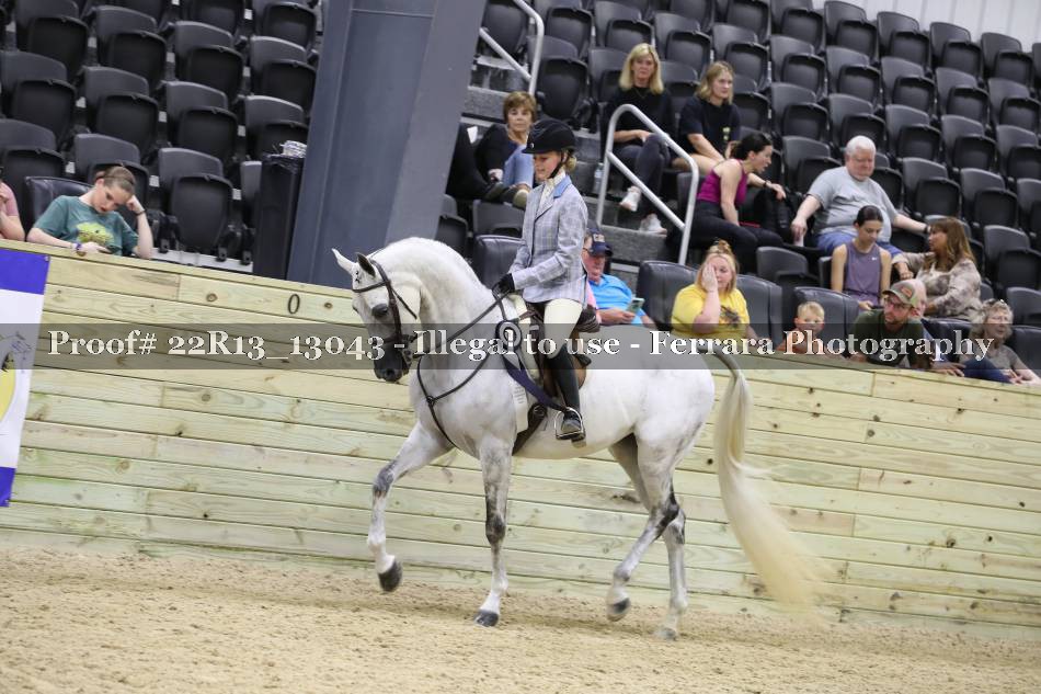 Proof 22R13_13043