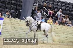 22R13_13043 proof