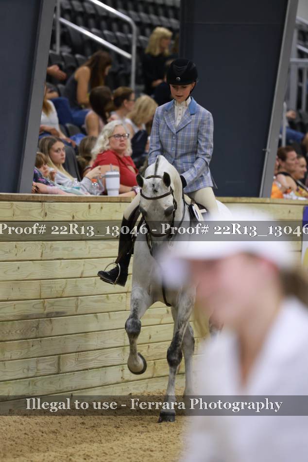 Proof 22R13_13046