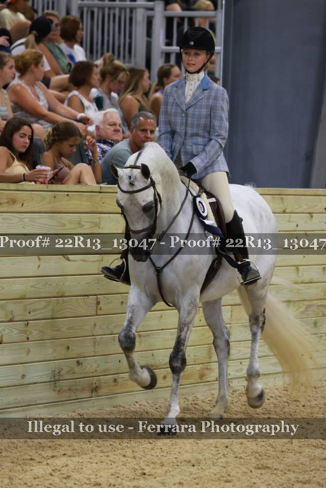 Proof 22R13_13047
