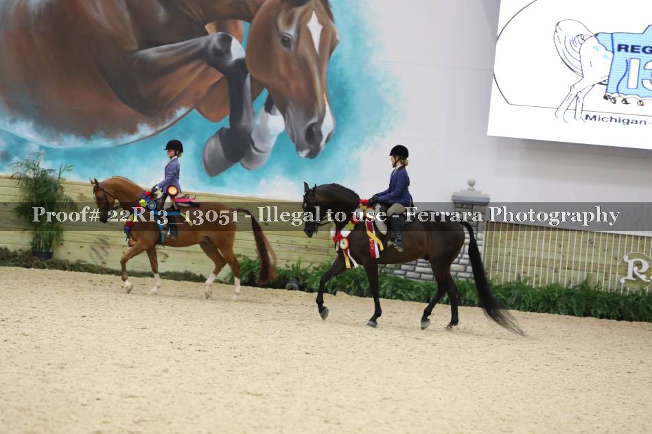 Proof 22R13_13051
