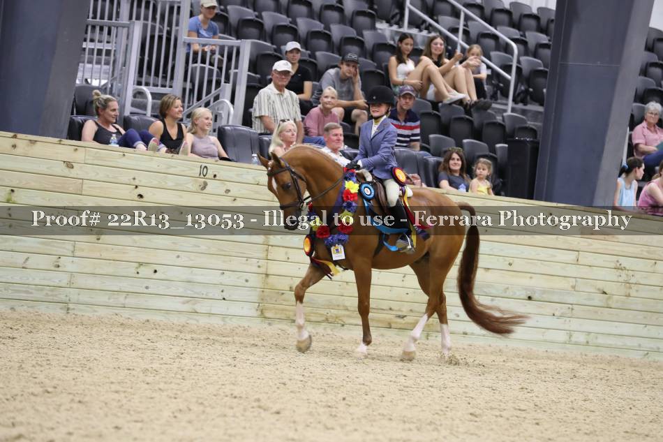 Proof 22R13_13053