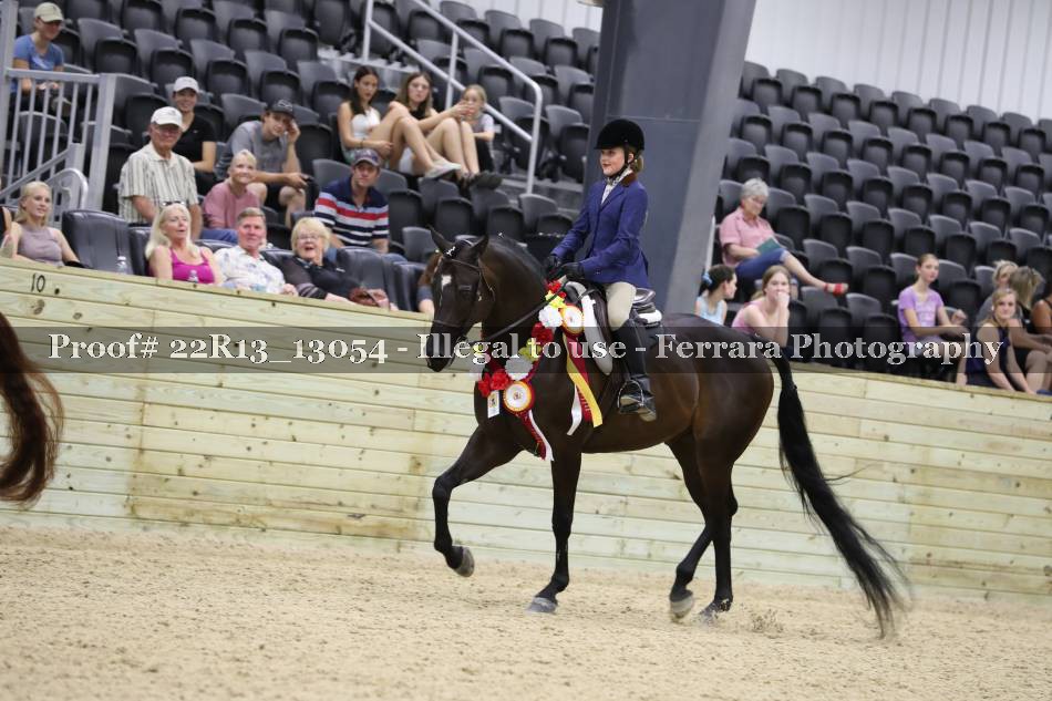 Proof 22R13_13054
