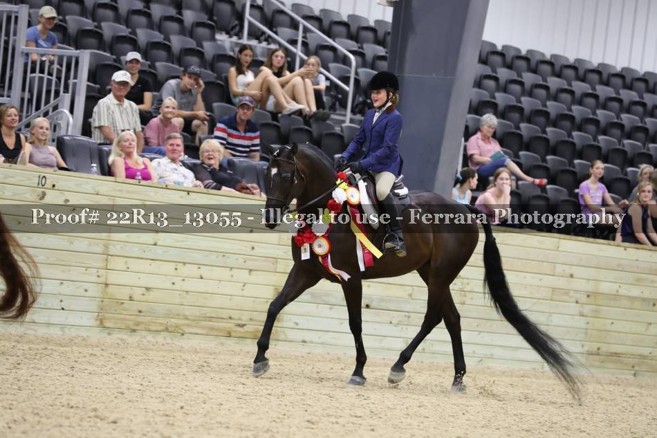 Proof 22R13_13055